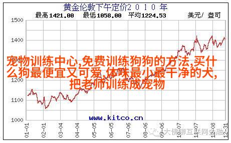 法国斗牛梗