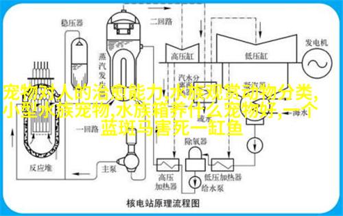 萨摩耶德