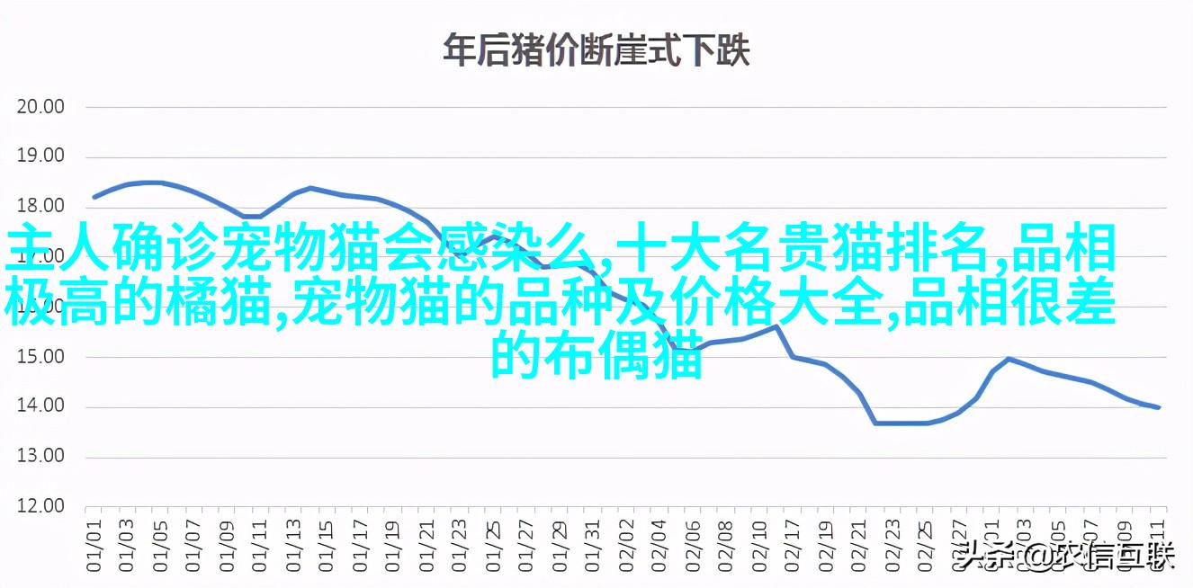 雪纳瑞