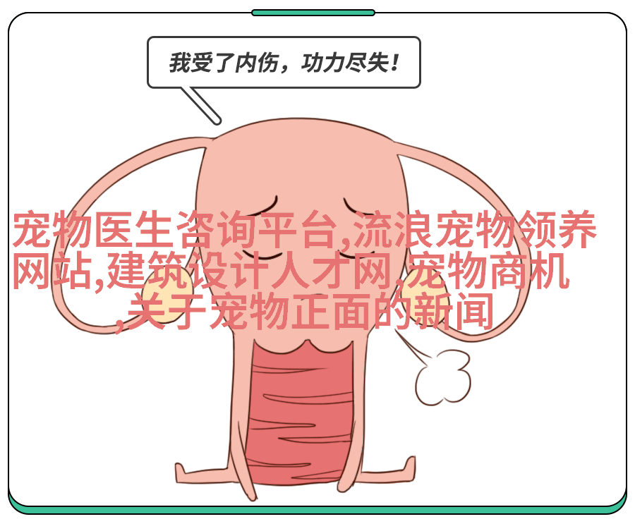 泰国蓝眼白面貓