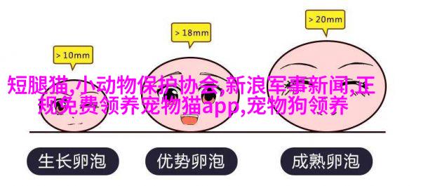 纽芬兰留声机