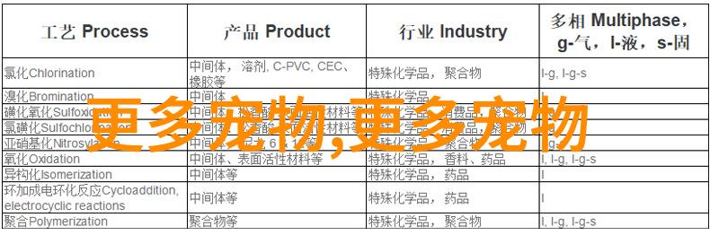 苏格兰折耳