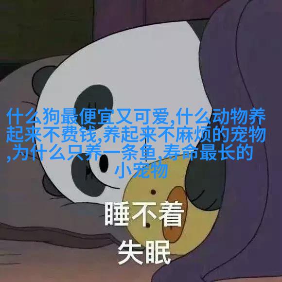 图2：美洲豹（金丝貂）