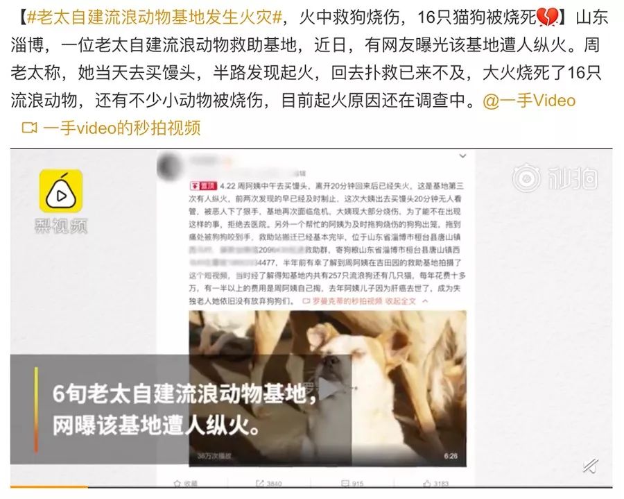 爱六网爱6网_我们爱宠物网_吼吼网宠物官网/