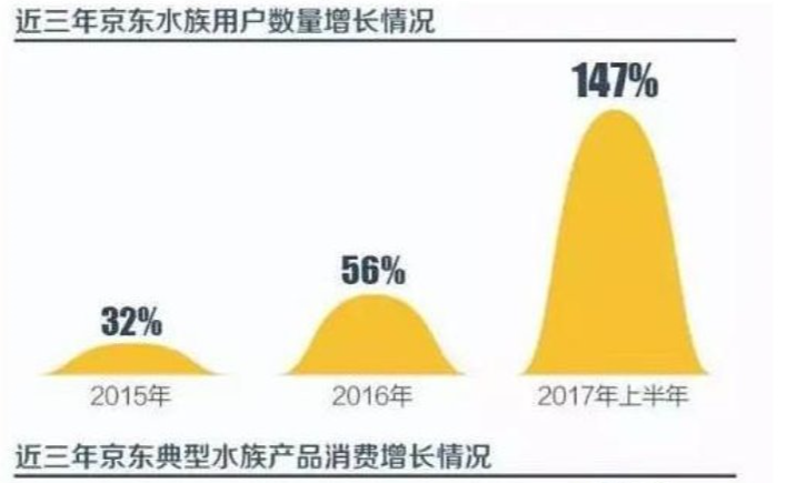 宠物水族家养适合什么鱼_水族好养宠物_适合家养的水族宠物/