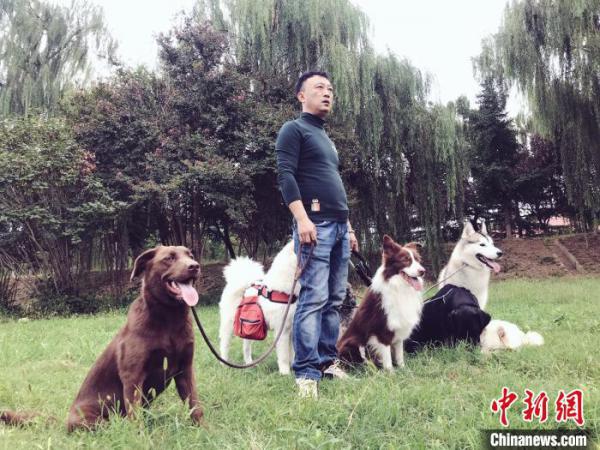 据了解，每天早上申慧亮都会将宠物犬进行群遛、上跑步机、做嗅闻训练，最后在家里建立规则界限。受访者供图/