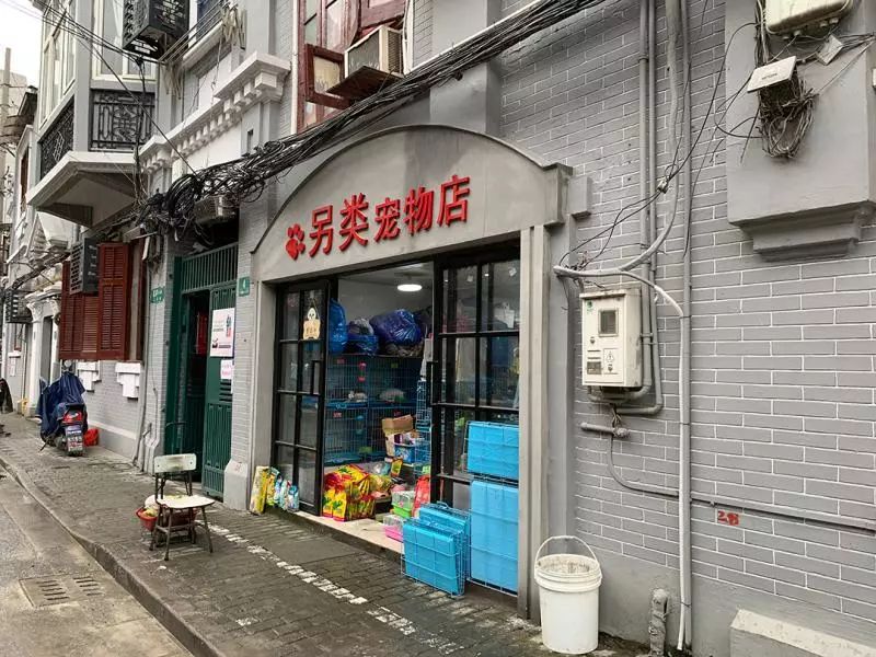 花鸟市场宠物店_买宠物去花鸟市场还是宠物店_去花鸟市场买宠物/