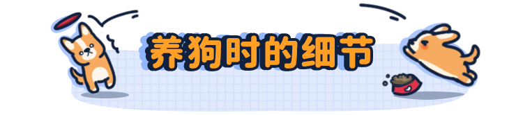 刚买的狗狗怎么训练_需要训练狗狗哪些项目_平常训练狗狗要用什么样的/