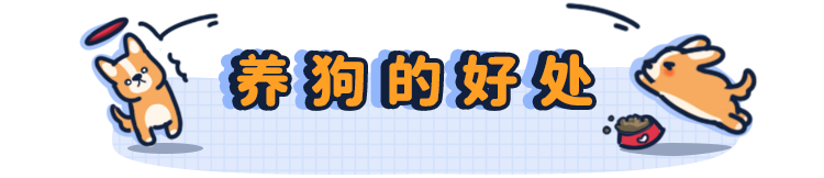 刚买的狗狗怎么训练_需要训练狗狗哪些项目_平常训练狗狗要用什么样的/