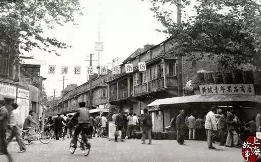 花鸟市场宠物店_去花鸟市场买宠物_买宠物去花鸟市场还是宠物店/