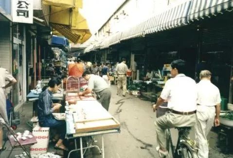 买宠物去花鸟市场还是宠物店_去花鸟市场买宠物_花鸟市场宠物店/