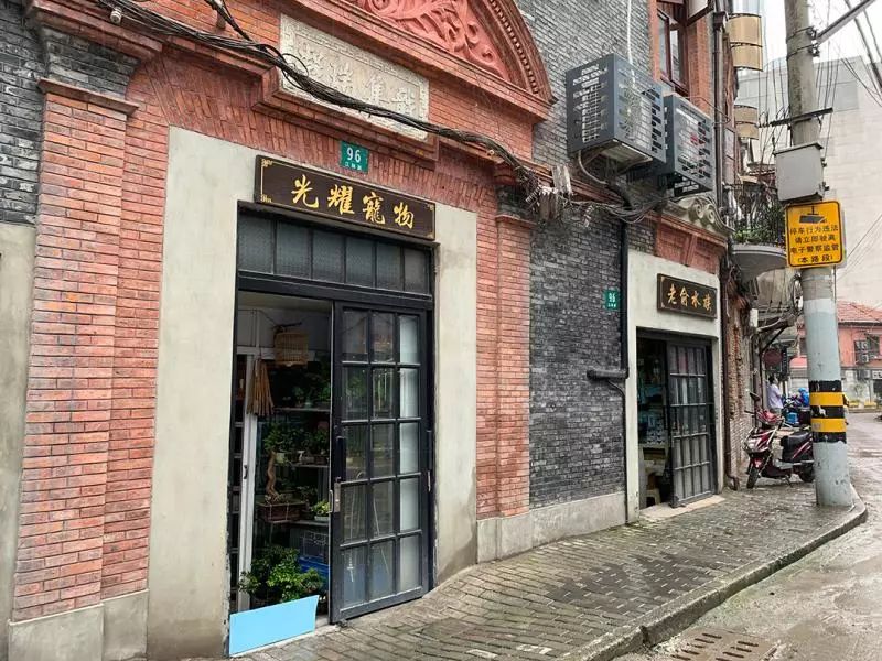 花鸟市场宠物店_去花鸟市场买宠物_买宠物去花鸟市场还是宠物店/