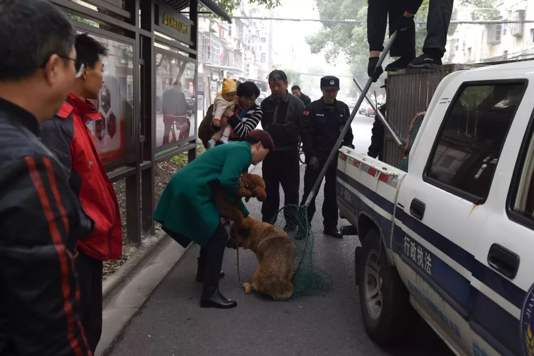 ▲一位狗主人及时赶到，带走了自己没有牵绳的宠物狗。受访者供图/