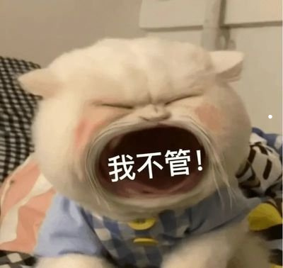 背部黑毛手部白色猫咪品种/