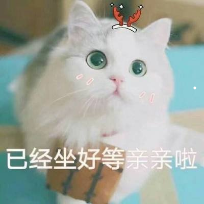 中华猫咪品种大全名称