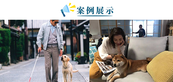 宠物训犬师培训训犬师训练_训犬师培训学费大概要多少钱_训犬师培训技术教程