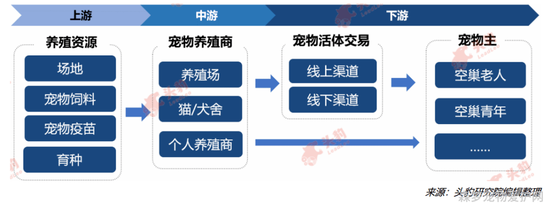 狗狗宠物市场_宠物狗市场价格表_宠物狗交易市场