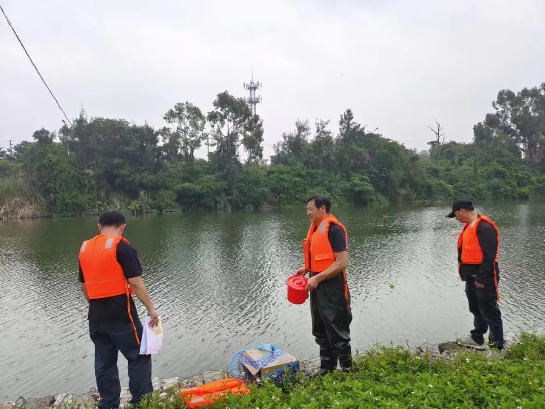 小型水生动物有哪些_小型水生动物_小型水生动物图片