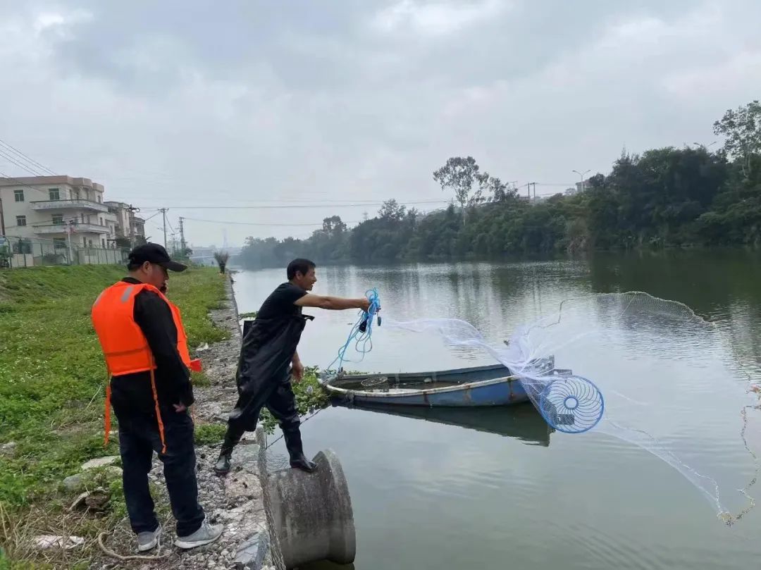 小型水生动物有哪些_小型水生动物_小型水生动物图片