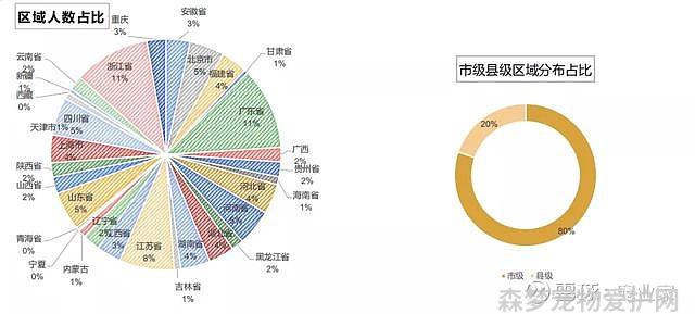 火车模型视频更多更多_发现更多体验更多_更多宠物