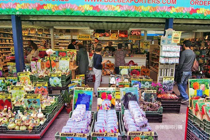 花鸟市场宠物店_买宠物去花鸟市场还是宠物店_去花鸟市场买宠物