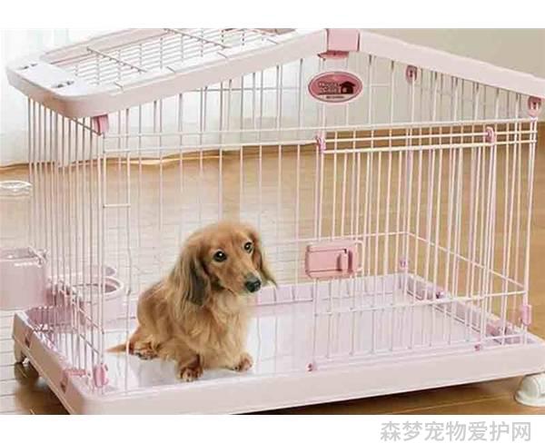 训犬师培训学费大概要多少钱_宠物训犬师培训训犬师训练_训犬师培训技术教程